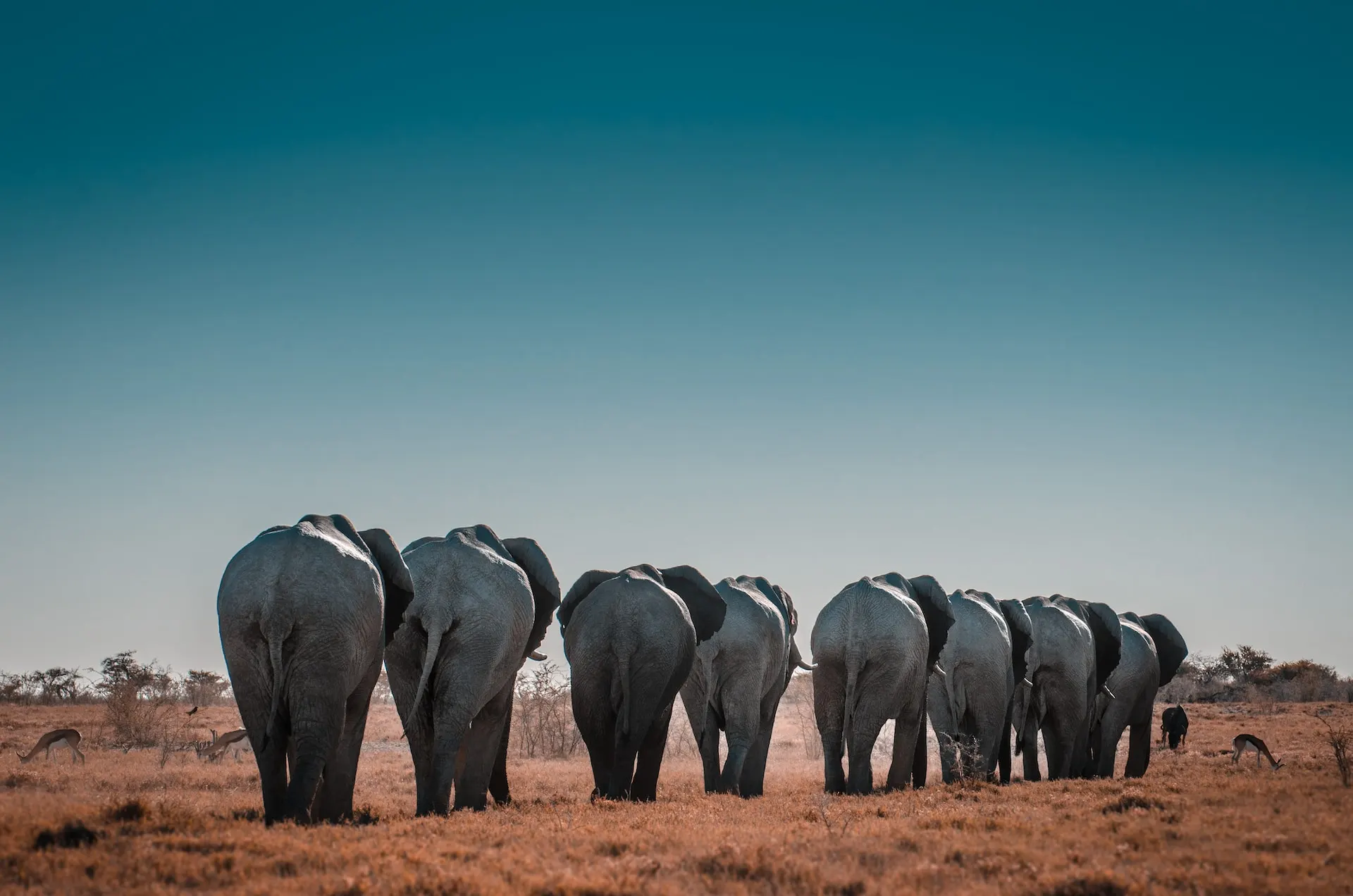 Namibia landscape