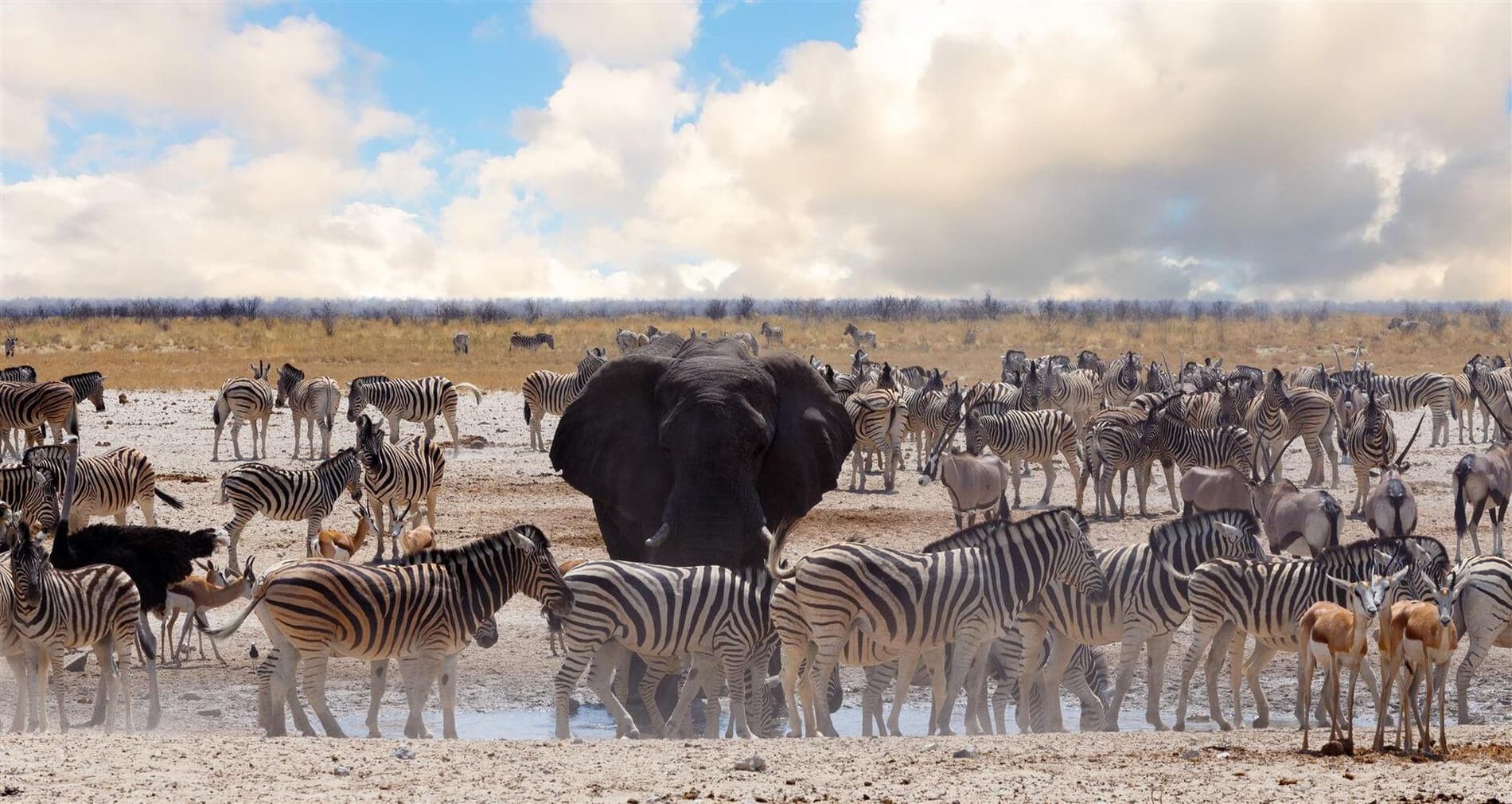 Bushmen Etosha Experience — gallery 2