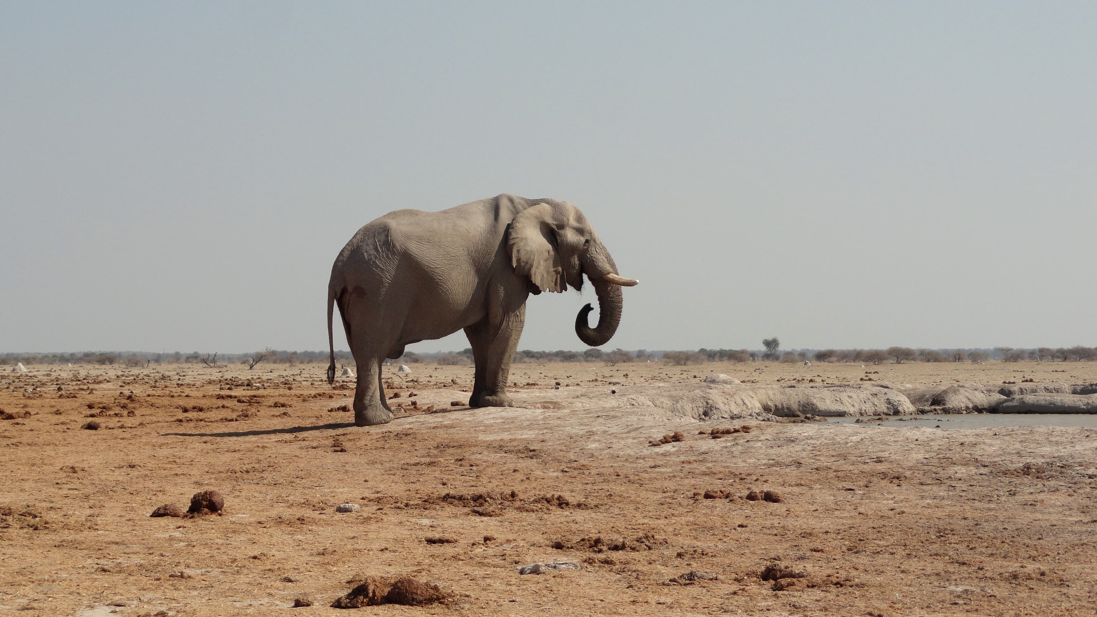 Central Kalahari Game Reserve