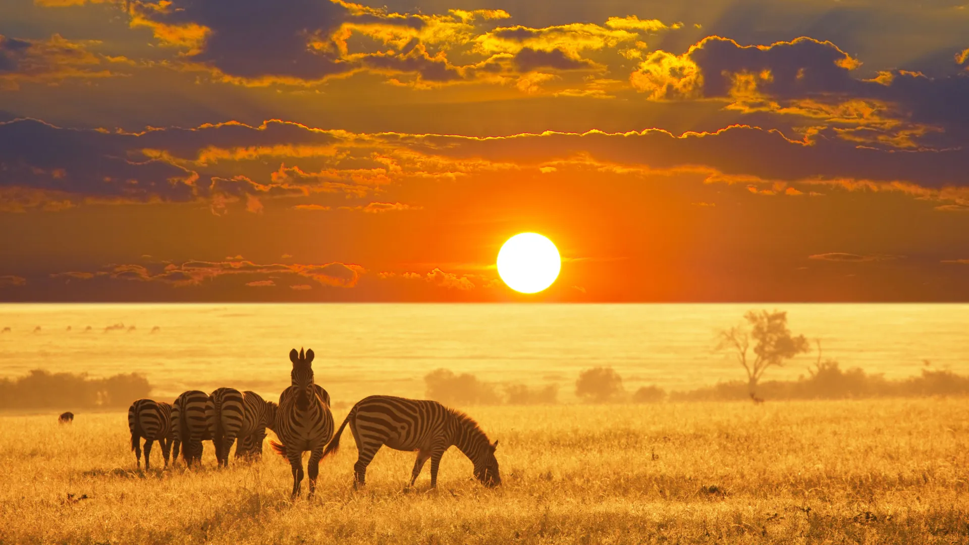 Etosha National Park