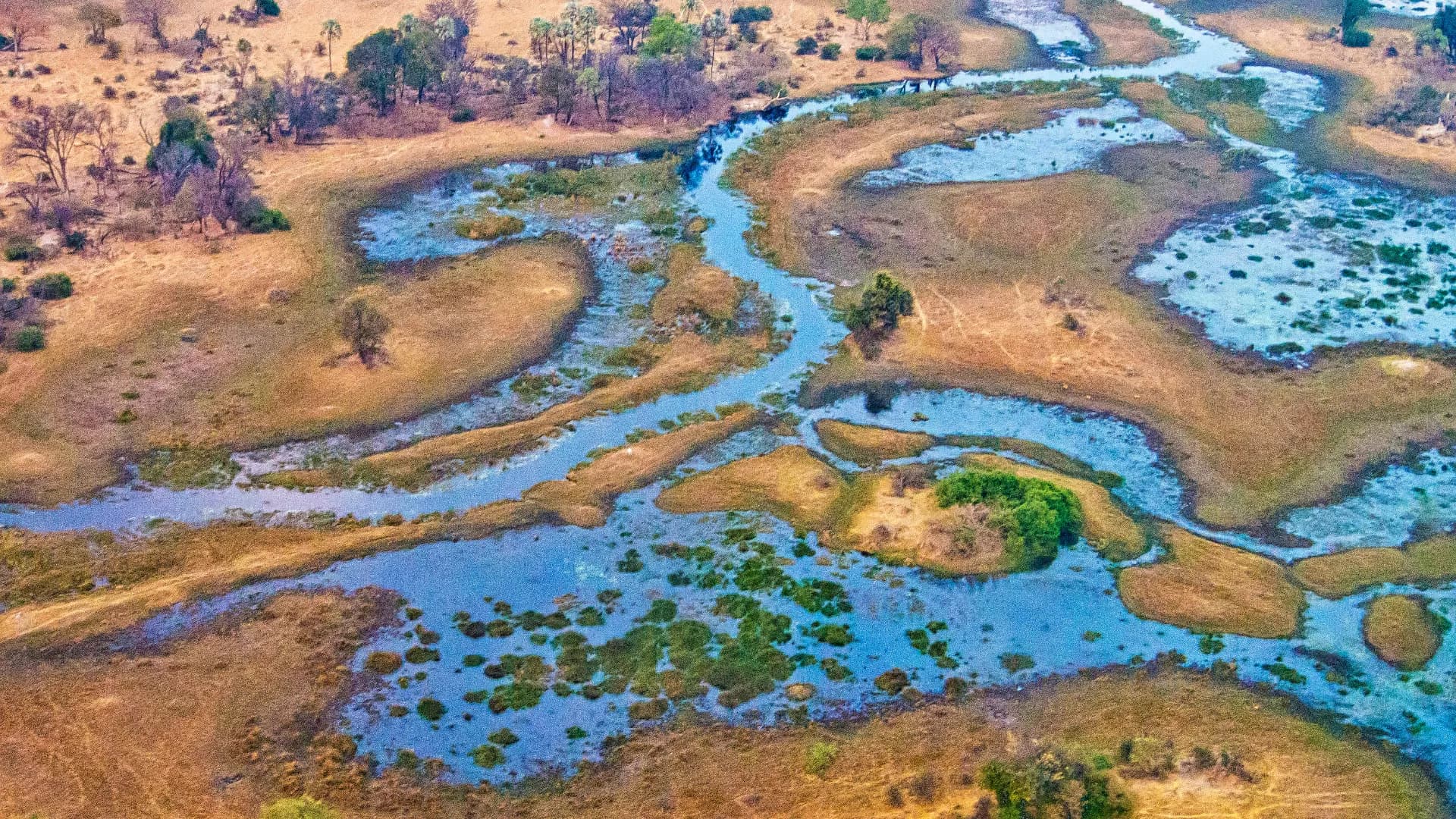 Okavango Delta
