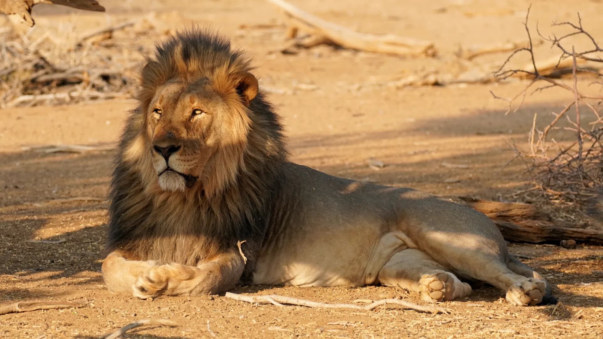 Erindi Private Game Reserve