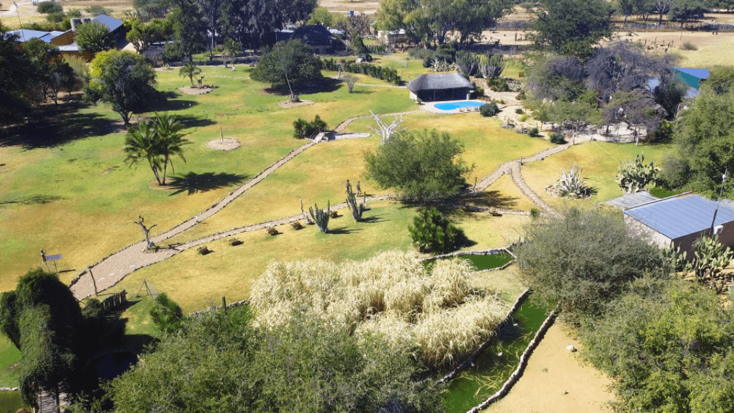 Harnas Guest Farm and Wildlife Foundation
